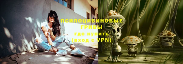 амф Алексин