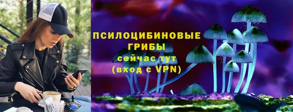 круглые Алзамай